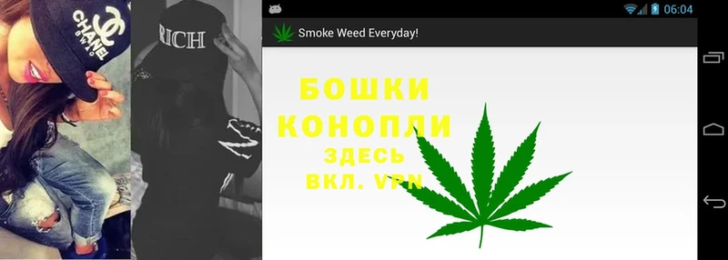 Бошки марихуана White Widow  блэк спрут онион  Андреаполь  как найти наркотики 